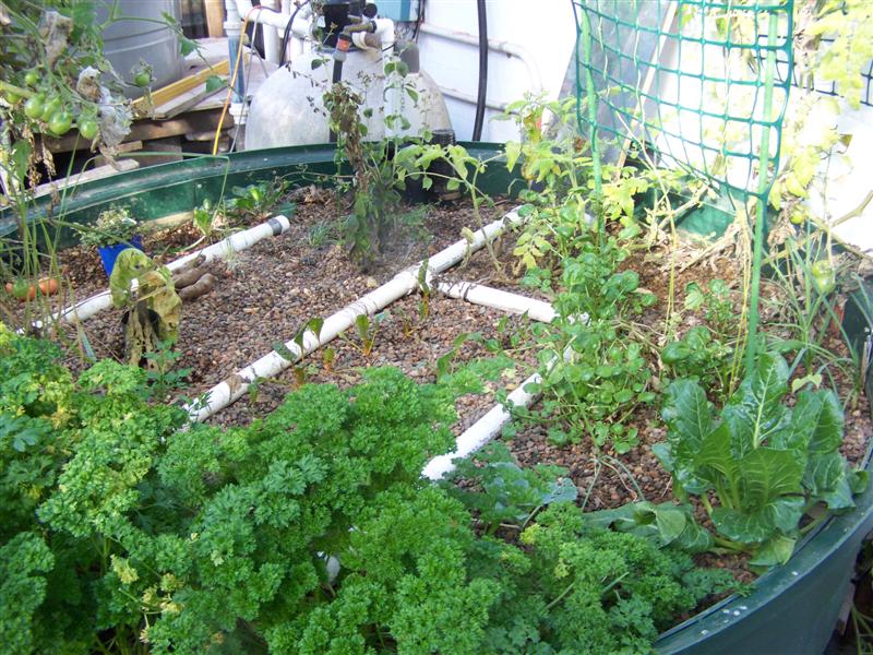 100_3234 (Medium).JPG