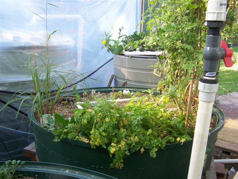 100_3235 (Medium).JPG