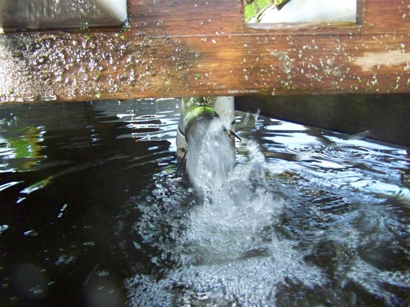 100_3236 (Medium).JPG