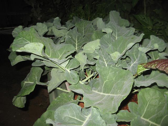 19.07.09 006 (Small).jpg