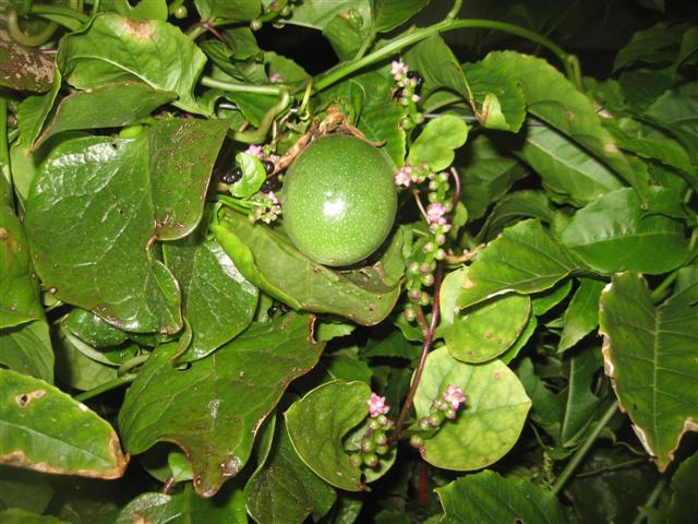 19.07.09 007 (Small).jpg