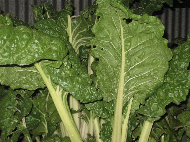 19.07.09 008 (Small).jpg