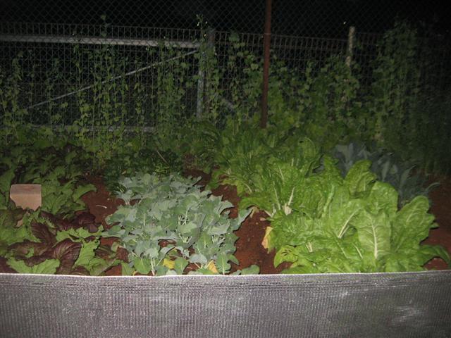 19.07.09 010 (Small).jpg