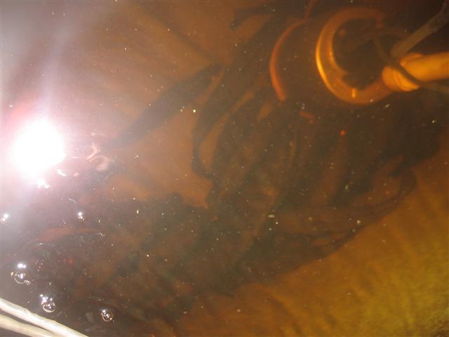 19.07.09 002 (Small).jpg