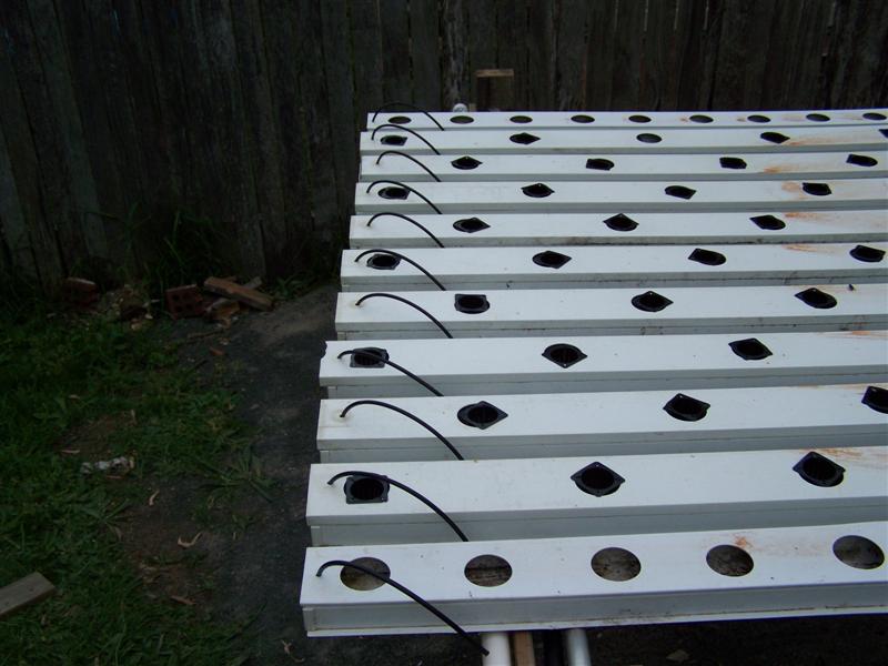 100_1069 (Medium).JPG