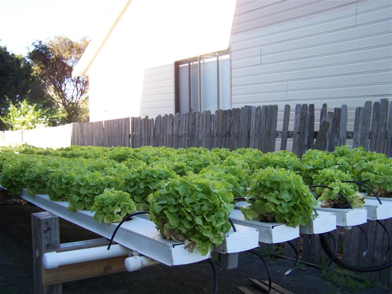 100_2276 (Medium).JPG