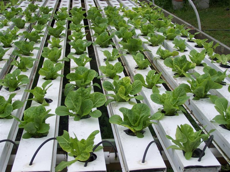 100_3219 (Medium).JPG