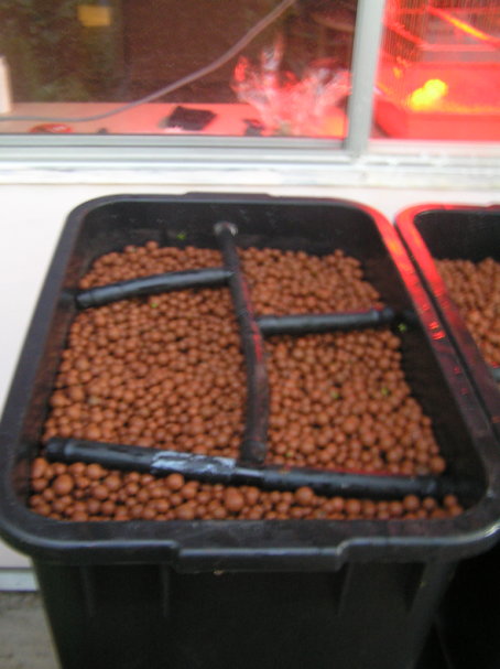 grow bed pipe layout.jpg