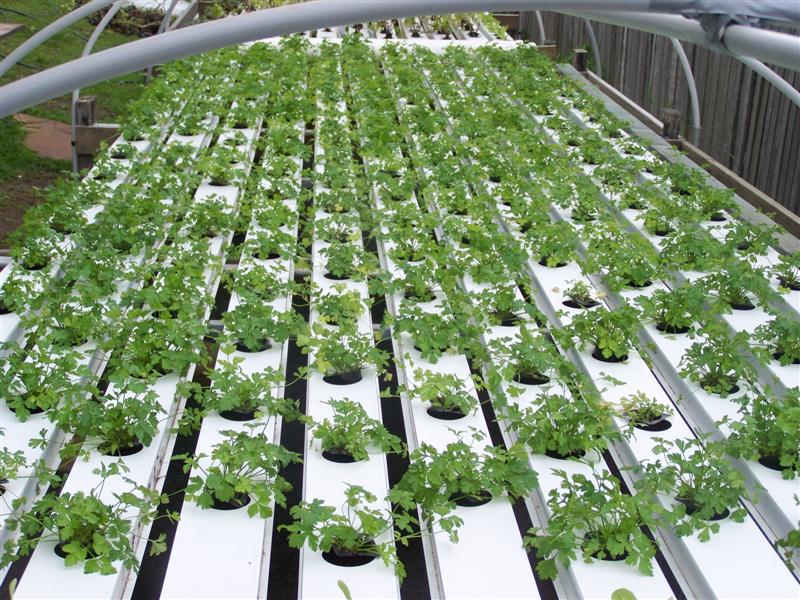 100_3218 (Medium).JPG