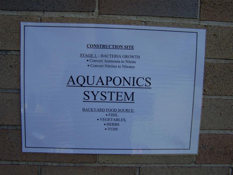 100_3303 (Medium).JPG