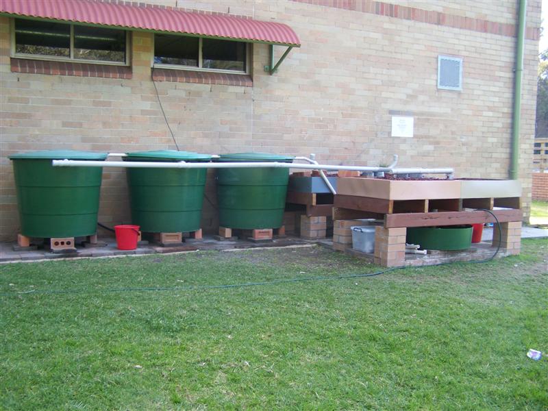 100_3301 (Medium).JPG