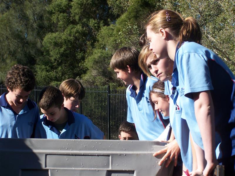 100_3282 (Medium).JPG