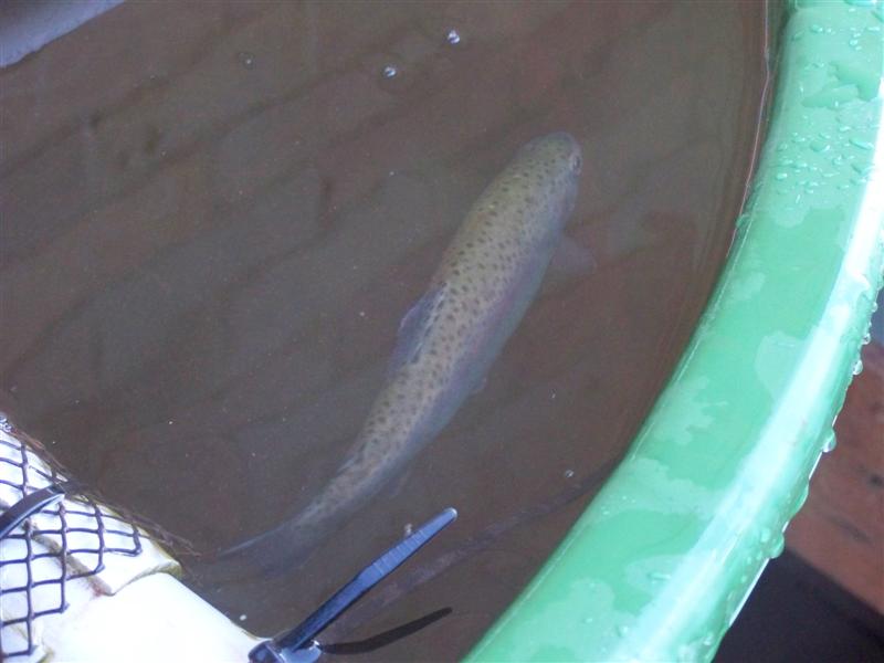 100_3284 (Medium).JPG