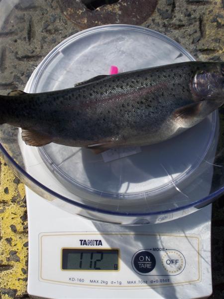 100_3287 (Medium).JPG