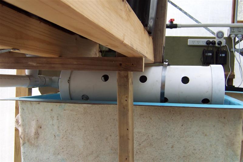 100_0981 (Medium).JPG