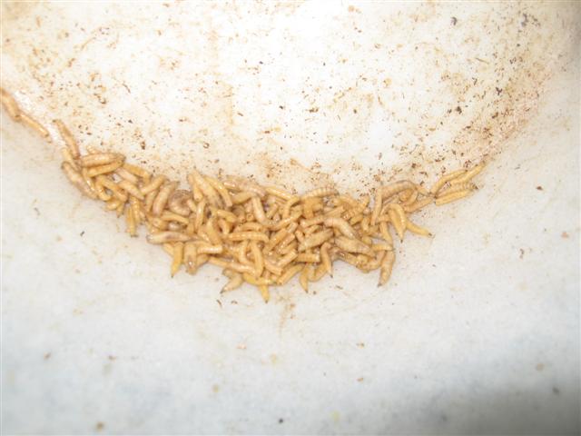 19.07.09 014 (Small).jpg