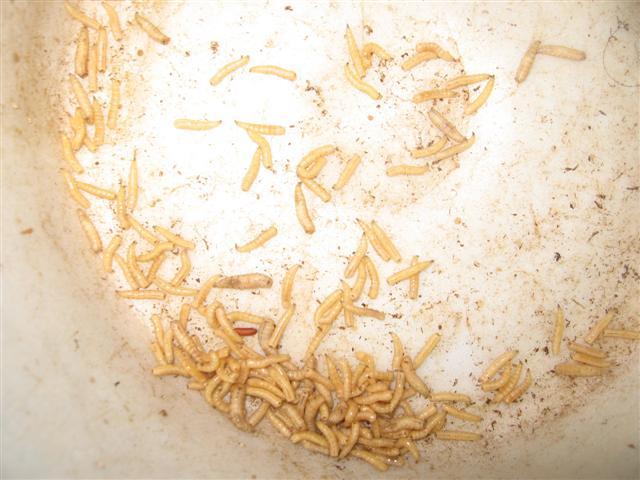 19.07.09 016 (Small).jpg