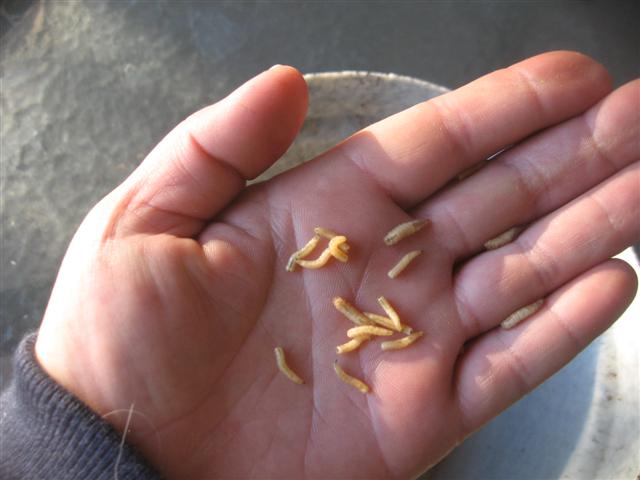 19.07.09 018 (Small).jpg