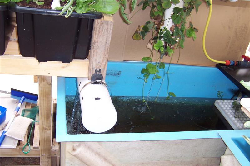 100_0979 (Medium).JPG