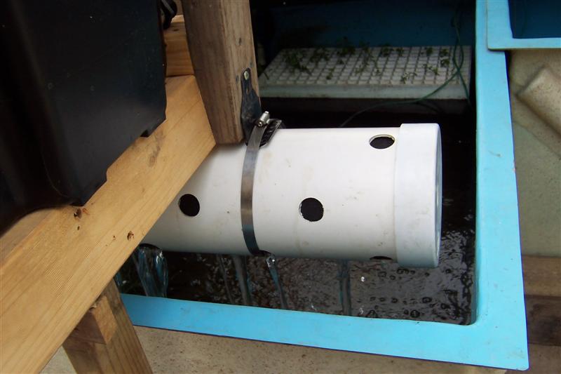 100_0980 (Medium).JPG