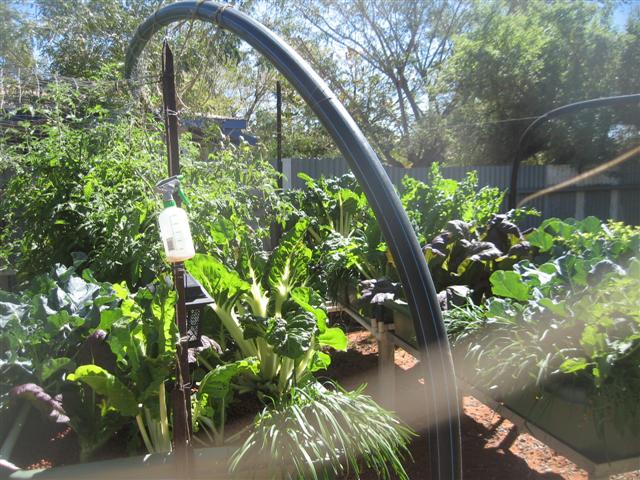 01.08.09 001 (Small).jpg