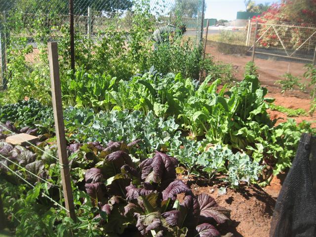 01.08.09 002 (Small).jpg