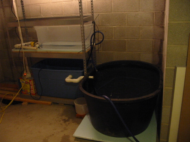 Basement Jan6 01.jpg