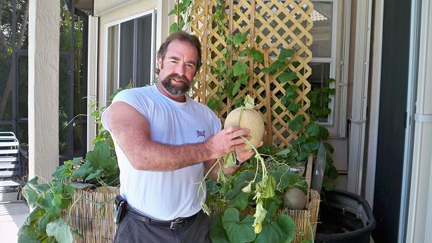 84 resized paint.jpg