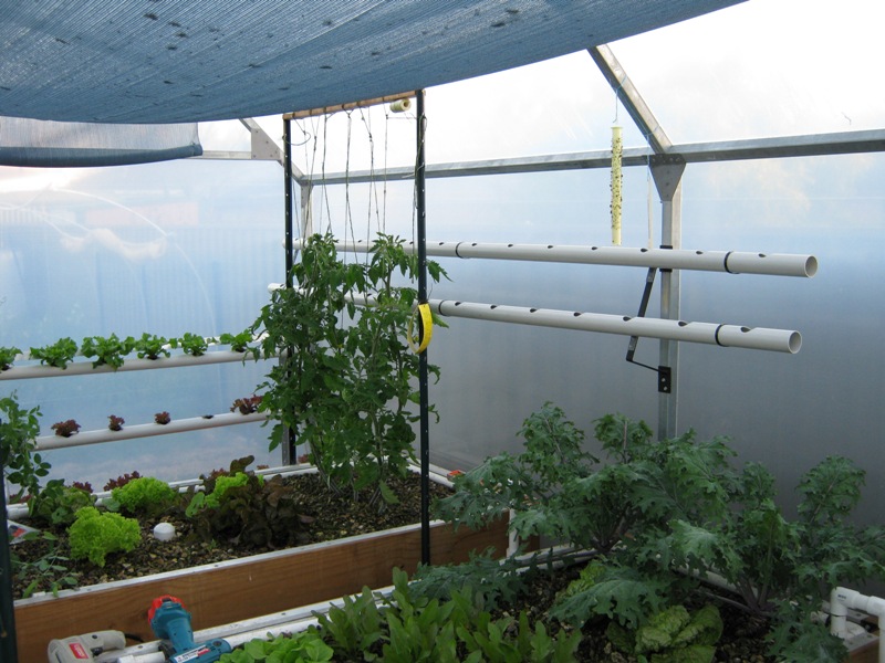 14.06.09 hydroponics.jpg