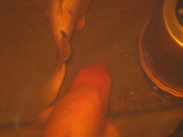 06.02.09 015 (Small).jpg