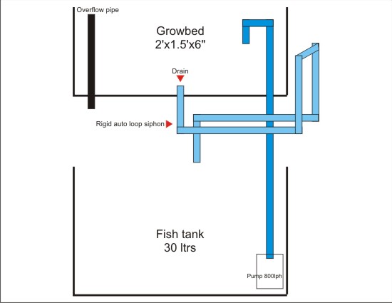 auto loop siphon.jpg