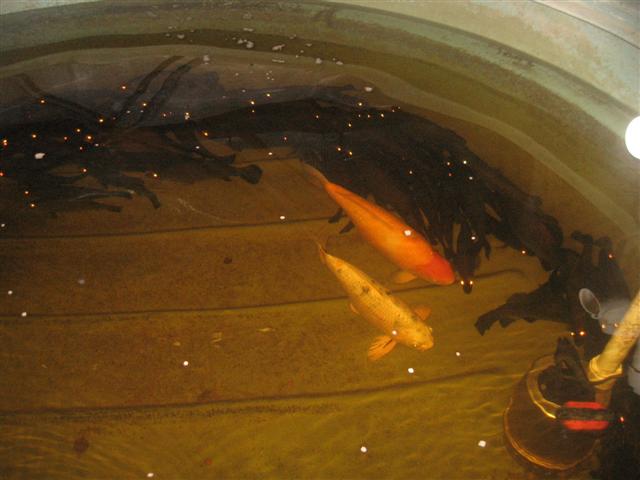 11.08.09 001 (Small).jpg