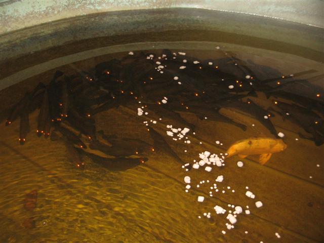 11.08.09 004 (Small).jpg