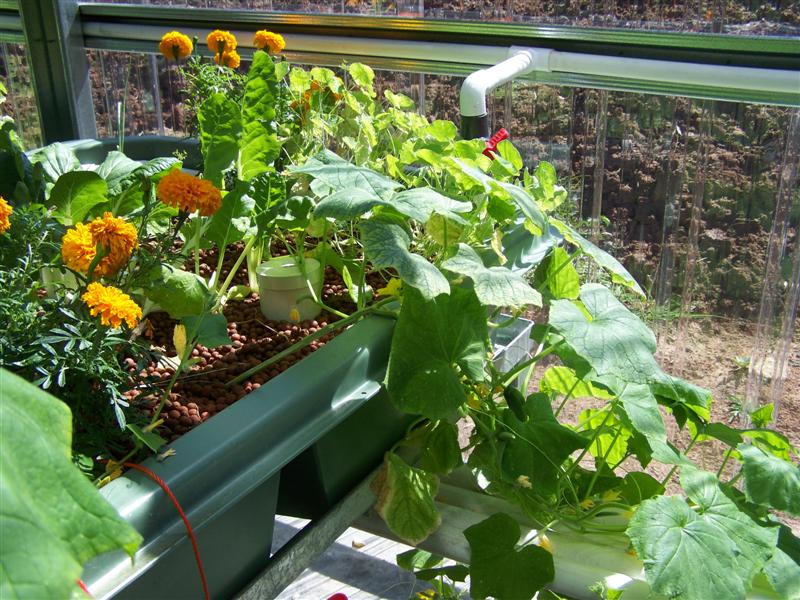 100_2239 (Medium).JPG