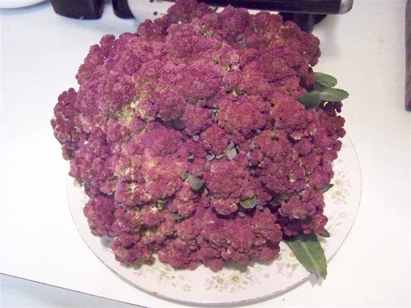 100_3275 (Medium).JPG