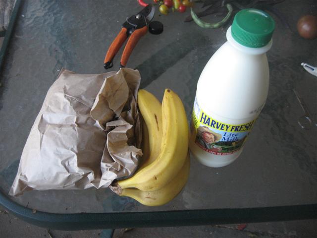 bio pod 001 (Small).jpg