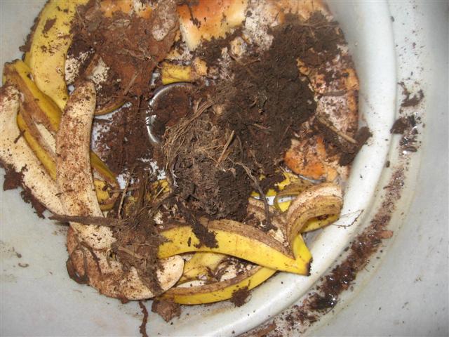 bio pod 005 (Small).jpg