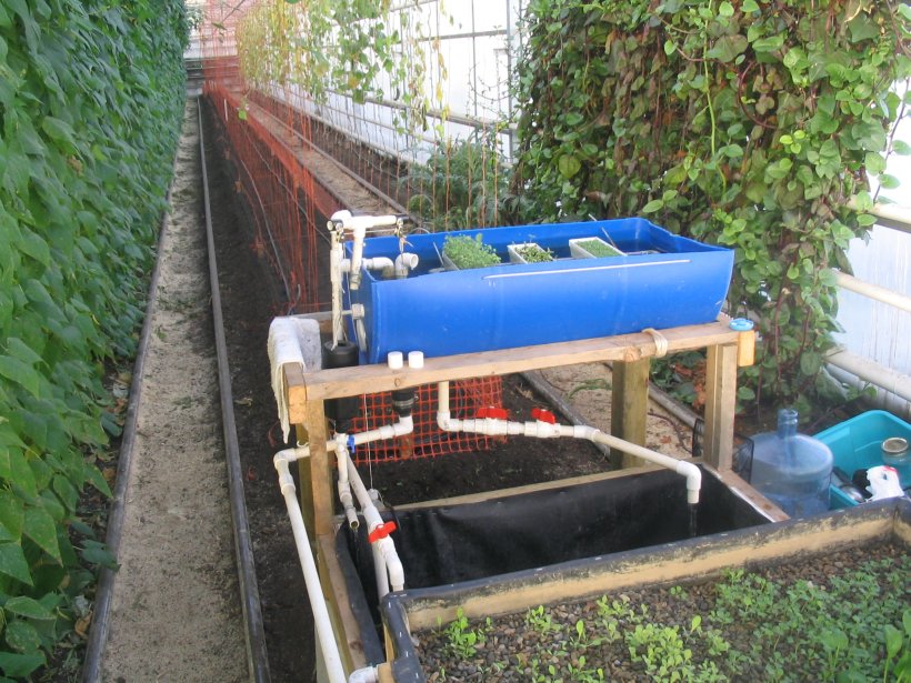 Flood tank & suspended raft.jpg