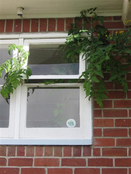 Picture 027 (Medium).jpg