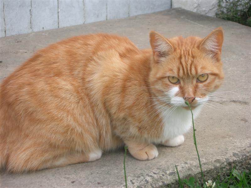 CIMG1782 (Medium).JPG