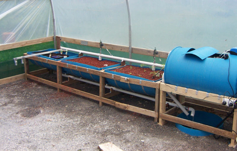 overview tank beds.jpg