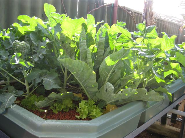 IMG_0624 (Small).JPG