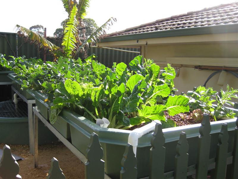 IMG_0623 (Medium).JPG