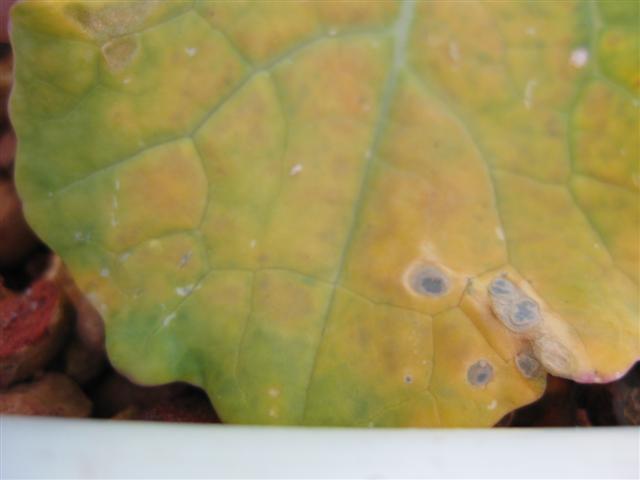 IMG_0415 (Small).JPG