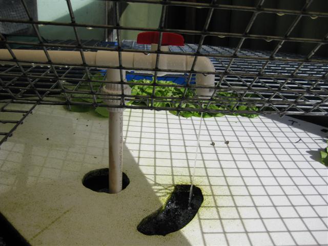 IMG_0631 (Small).JPG