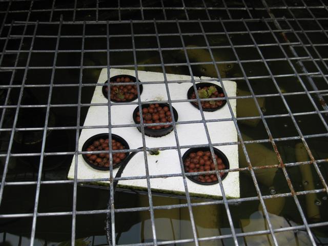 IMG_0632 (Small).JPG