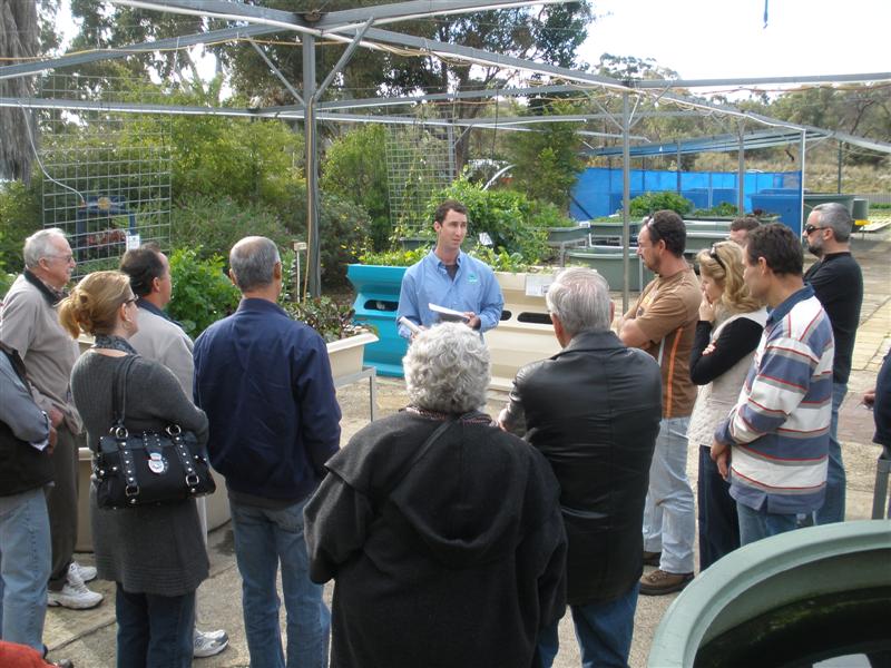 9th August 2009 116 (Medium).jpg