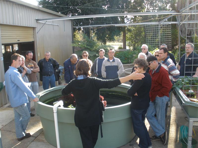 9th August 2009 147 (Medium).jpg