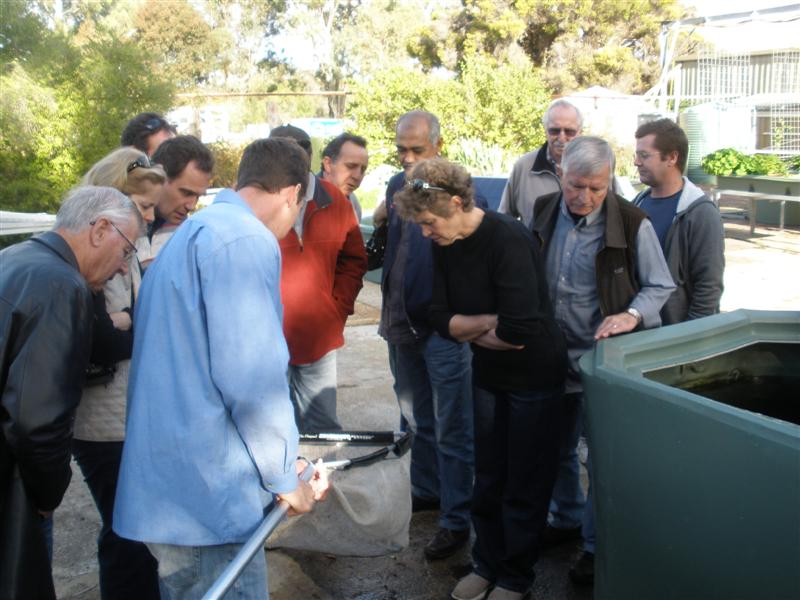 9th August 2009 153 (Medium).jpg