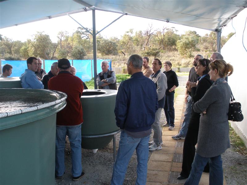 9th August 2009 161 (Medium).jpg